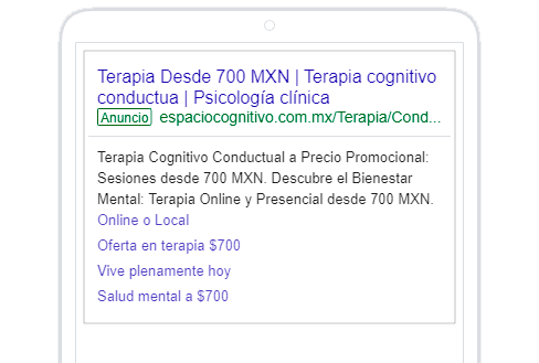 Servicio-Google02